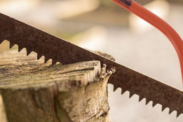 Best Bow Saw in 2022 - Reviews & Buyers Guide