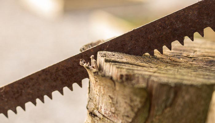 Buyer's Guide What are Contractor Table Saws?