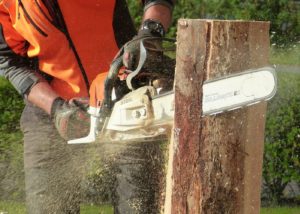 best chainsaw – reviews & buyers guide