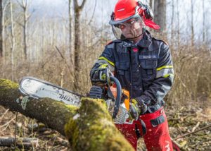 how to hold logs while cutting with a chainsaw - 5 effortless methods